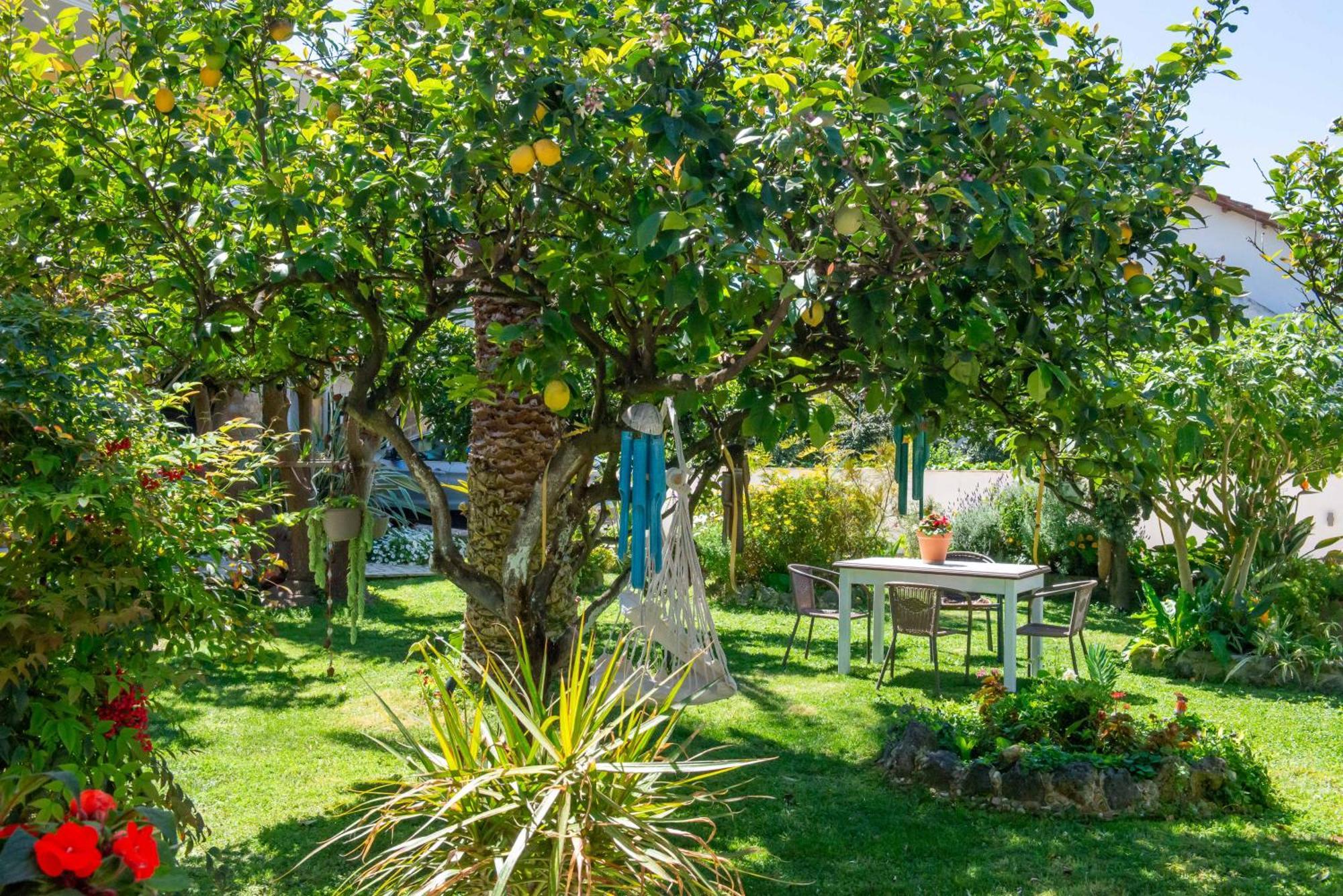 Alex Studios & Apartments Arillas  Bagian luar foto