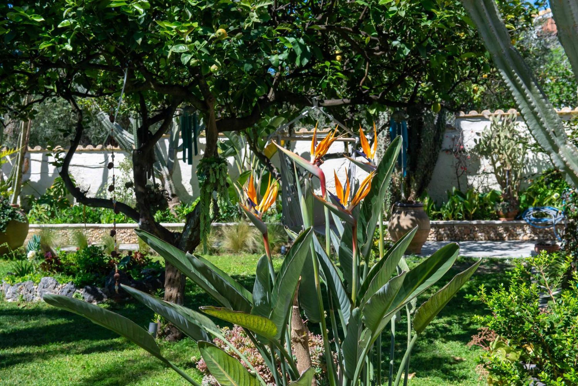 Alex Studios & Apartments Arillas  Bagian luar foto